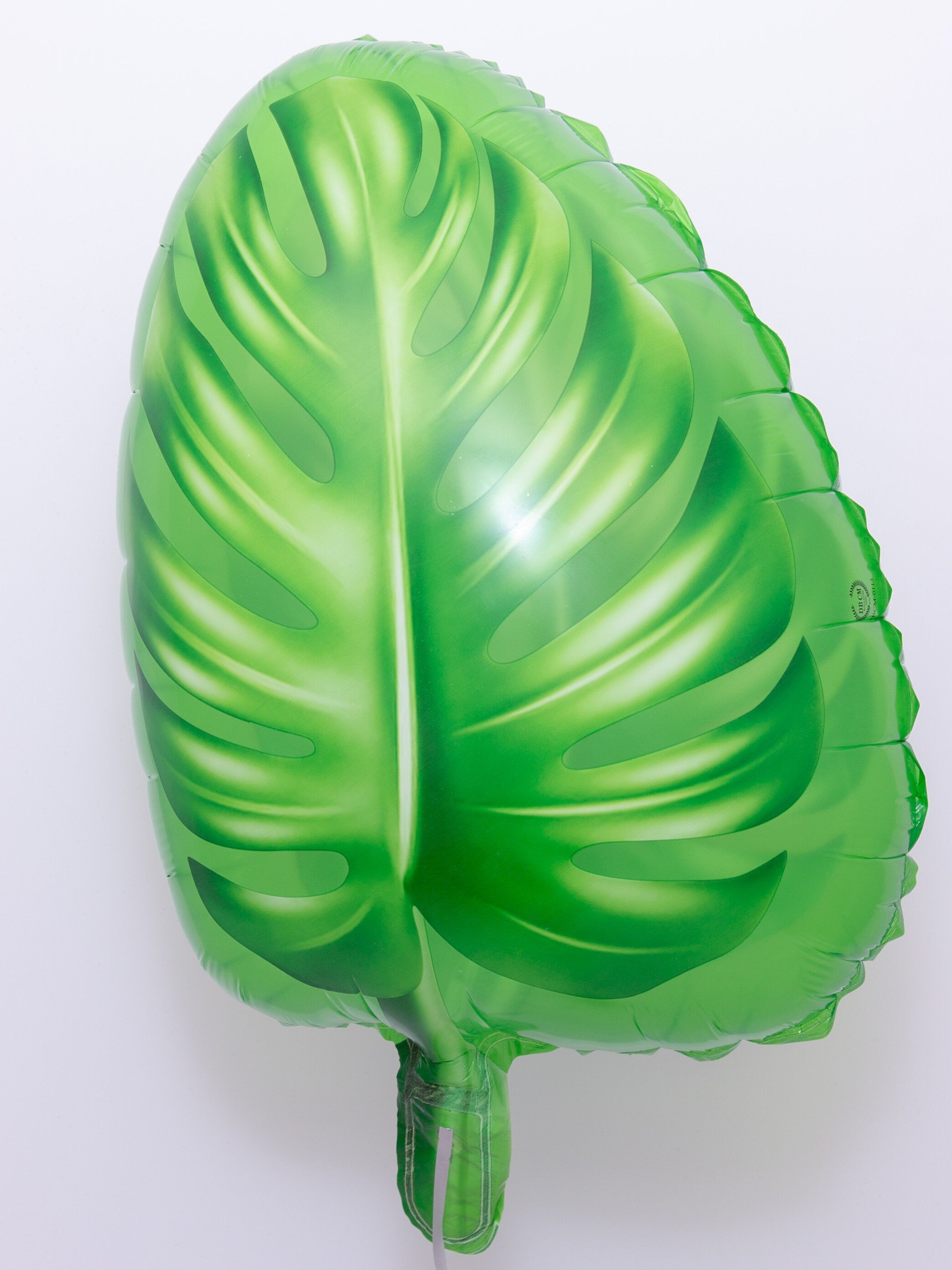 Pool Bachelorette Party Party Balloons Number Green Decorations - BashMint party decoration